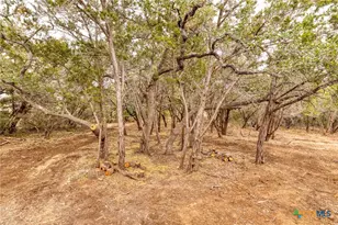 1595 Rocky Ridge Loop, Canyon Lake, TX 78133 - Photo 30