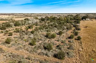 Tbd St Hwy 111 N, Edna, TX 77957 - Photo 8