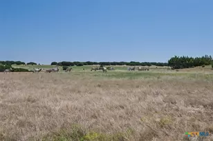 6101 Cr 208, Lampasas, TX 76550 - Photo 34