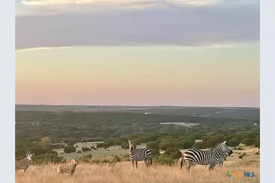 6101 Cr 208, Lampasas, TX 76550 - Photo 32