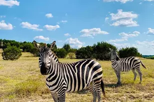 6101 Cr 208, Lampasas, TX 76550 - Photo 24