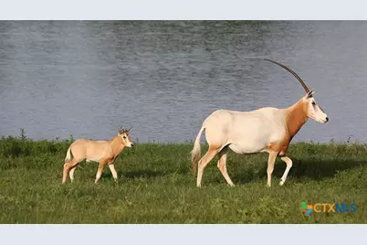 6101 Cr 208, Lampasas, TX 76550 - Photo 26