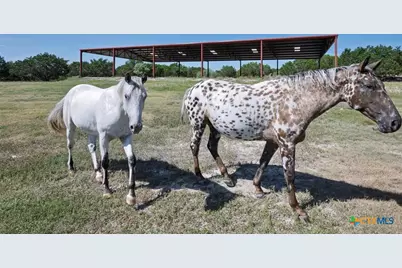 6101 Cr 208, Lampasas, TX 76550 - Photo 30