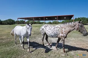 6101 Cr 208, Lampasas, TX 76550 - Photo 30