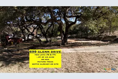 699 Glenn Drive, Canyon Lake, TX 78133 - Photo 4