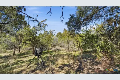 817 Scenic Drive, Canyon Lake, TX 78133 - Photo 24