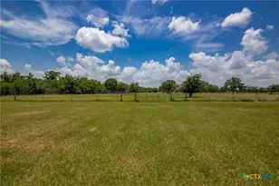 9795 Fm 622, Goliad, TX 77963 - Photo 6
