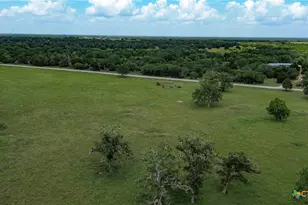 9795 Fm 622, Goliad, TX 77963 - Photo 42