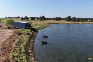 2039 Co Rd 326, Giddings, TX 78942 - Photo 6