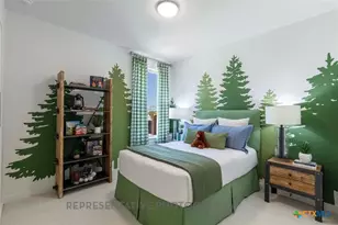 212 Missouri Primrose Ln, San Marcos, TX 78666 - Photo 38