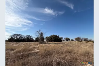 277 Grand Canyon Drive, Oglesby, TX 76561 - Photo 6