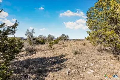Lot 48 Inksview Lane, Kingsland, TX 78639 - Photo 4
