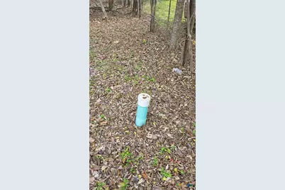 118 Bonham Street, Port Lavaca, TX 77979 - Photo 4