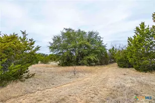 Tbd Cr 200, Burnet, TX 78611 - Photo 6
