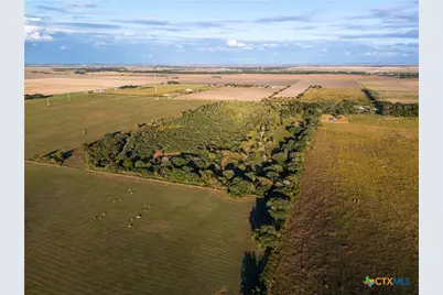 0 Cr 325, Louise, TX 77455 - Photo 10