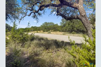 820 Stone Ridge Mountain Drive, Round Mountain, TX 78663 - Photo 8