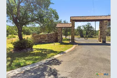 820 Stone Ridge Mountain Drive, Round Mountain, TX 78663 - Photo 30