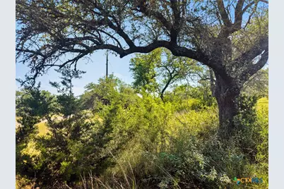 820 Stone Ridge Mountain Drive, Round Mountain, TX 78663 - Photo 4