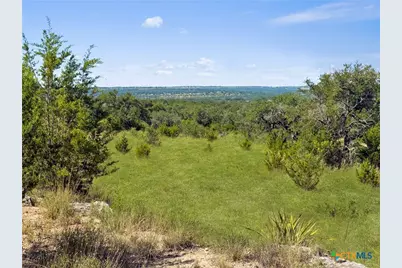 820 Stone Ridge Mountain Drive, Round Mountain, TX 78663 - Photo 12