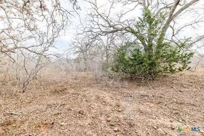 Tbd County Road 424, Waelder, TX 78959 - Photo 18