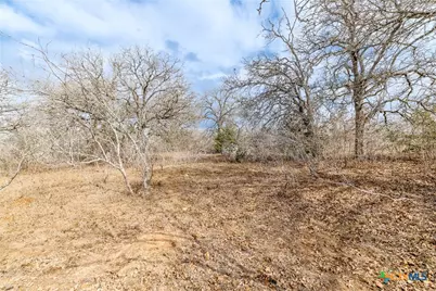 Tbd County Road 424, Waelder, TX 78959 - Photo 20