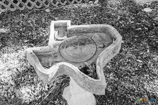 181 Spring St, Spring Branch, TX 78070 - Photo 40