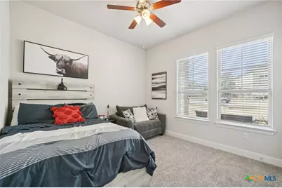 424 Heidelberg Road, New Braunfels, TX 78132 - Photo 18