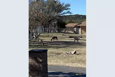 2111 Chinaberry Circle, Harker Heights, TX 76548 - Photo 42