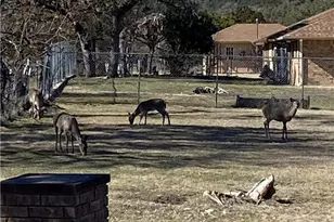 2111 Chinaberry Circle, Harker Heights, TX 76548 - Photo 42