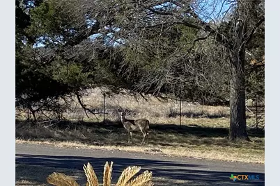 2111 Chinaberry Circle, Harker Heights, TX 76548 - Photo 46