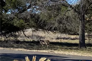 2111 Chinaberry Circle, Harker Heights, TX 76548 - Photo 46