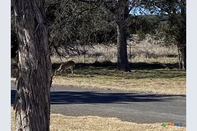 2111 Chinaberry Circle, Harker Heights, TX 76548 - Photo 44
