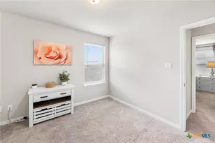 232 Colebrook Way, Cibolo, TX 78108 - Photo 34