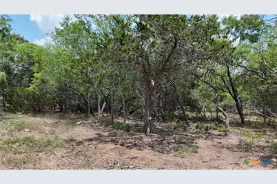 164 Fm 3158, Dale, TX 78616 - Photo 6