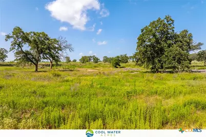 1054 Ferguson Loop, Dale, TX 78616 - Photo 8