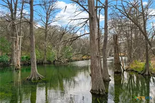 143 Bluff View Dr, Spring Branch, TX 78070 - Photo 26