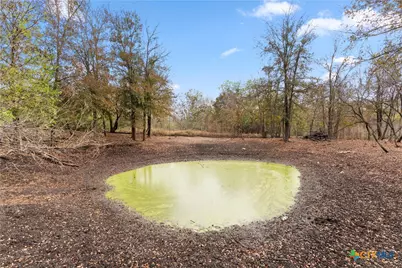 479 Mostyn Lane, San Marcos, TX 78666 - Photo 4