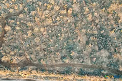 120 Cr 306, Brady, TX 76852 - Photo 6