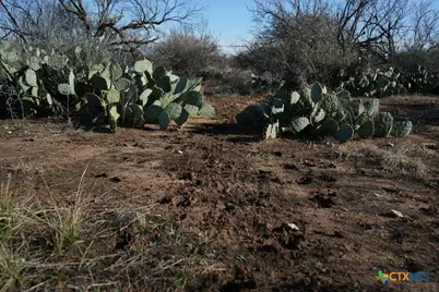 120 Cr 306, Brady, TX 76852 - Photo 18