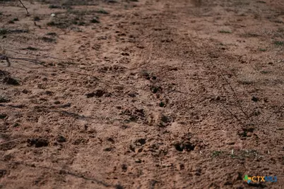 120 Cr 306, Brady, TX 76852 - Photo 26