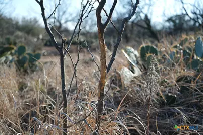 120 Cr 306, Brady, TX 76852 - Photo 16