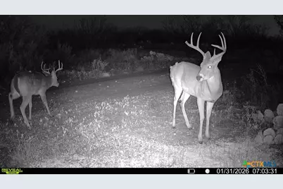 120 Cr 306, Brady, TX 76852 - Photo 40