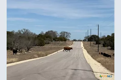 Lot 218 Heartleaf/Winecup Drive, Lampasas, TX 76550 - Photo 16