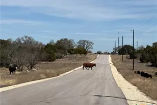 Lot 218 Heartleaf/Winecup Dr, Lampasas, TX 76550 - Photo 16