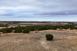 Lot 218 Heartleaf/Winecup Dr, Lampasas, TX 76550 - Photo 4