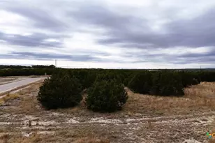 Lot 218 Heartleaf/Winecup Dr, Lampasas, TX 76550 - Photo 6