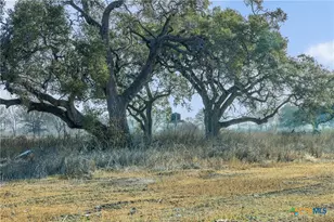 620 NW River Rd, Martindale, TX 78655 - Photo 1