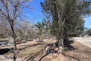 795 E Mather St, New Braunfels, TX 78130 - Photo 2