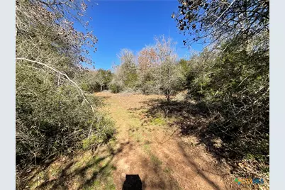 50 Acres County Road 212, Hallettsville, TX 77964 - Photo 32