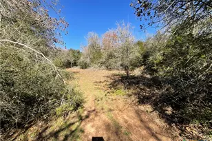 50 Acres County Road 212, Hallettsville, TX 77964 - Photo 32